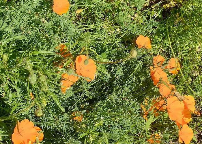 Maison De Charme Avec Jardin-calme- Fibre Casa vacanze Guérande
