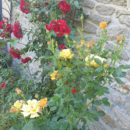 Maison De Charme Avec Jardin-calme- Fibre 別荘