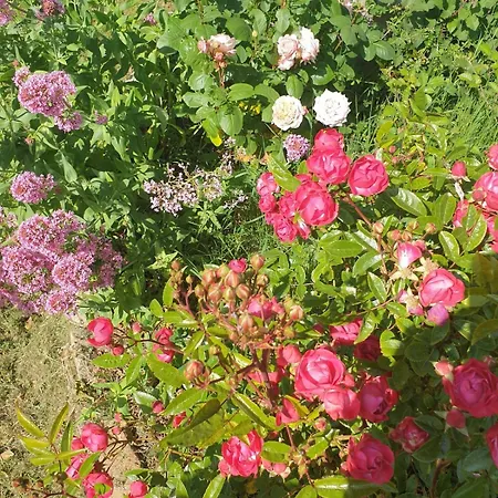 Maison De Charme Avec Jardin-calme- Fibre Holiday home *