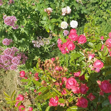 Maison De Charme Avec Jardin-calme- Fibre 別荘 *