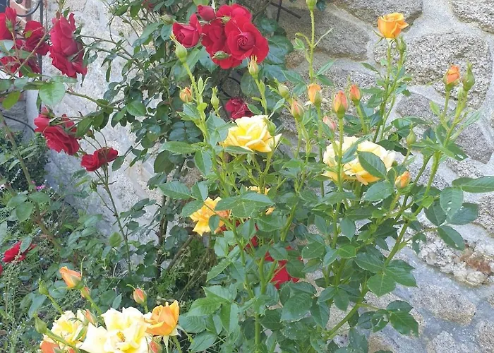 Maison De Charme Avec Jardin-calme- Fibre بيت للعطل