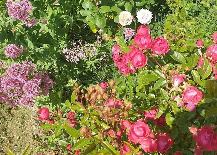 Maison De Charme Avec Jardin-calme- Fibre بيت للعطل *
