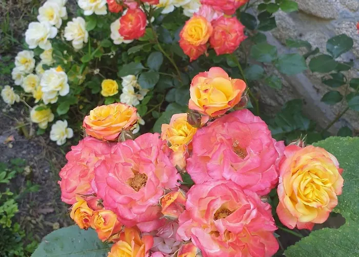 Maison De Charme Avec Jardin-calme- Fibre Guérande